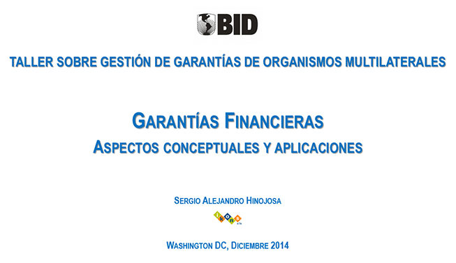 Garantías Financieras: Aspectos Conceptuales y Aplicaciones